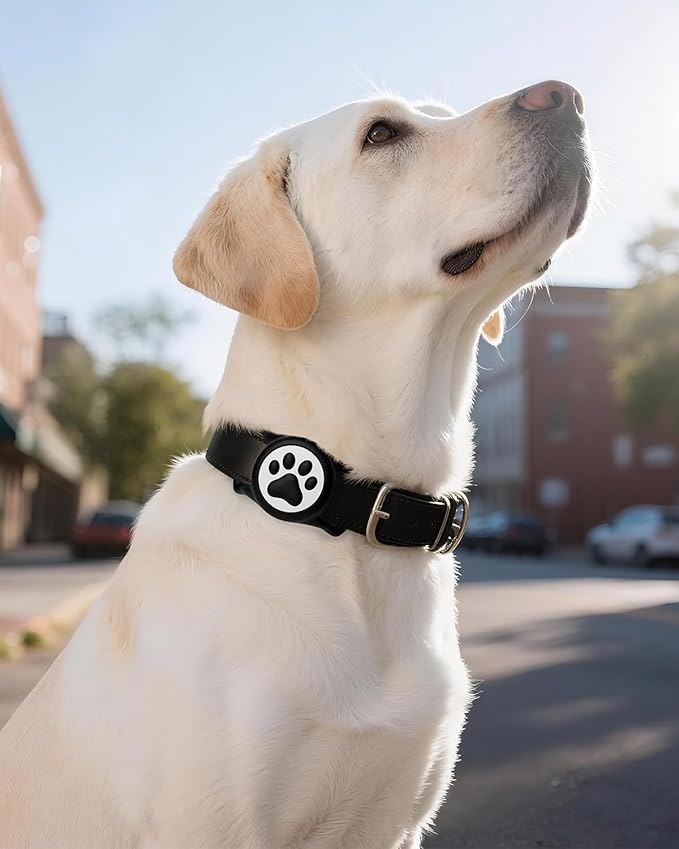 IP68 Waterpoof Dog Airtag Holder, Stretchy Silicone Full Body Covered Apple Air Tag Holder for Dog Cat Collar Fit All Width Collar (Black/Pink, 2 Pack)