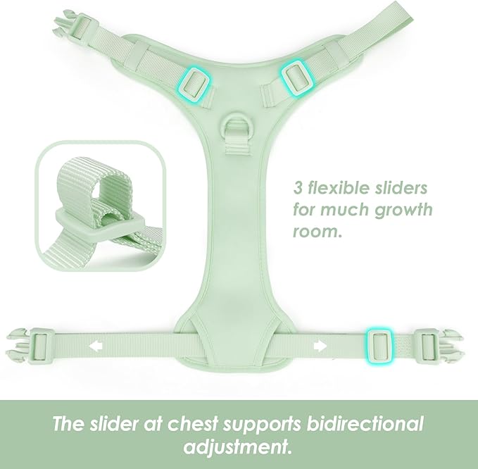 No Pull Dog Harness, Puppy Vest with Front Clip for Small Medium Large Sized Dog(Light Green,XL)