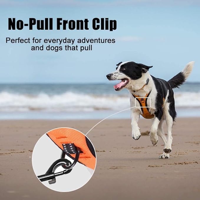PoyPet No Pull Dog Harness, Reflective Comfortable Vest Harness with Front & Back 2 Leash Attachments and Easy Control Handle Adjustable Soft Padded Pet Vest for Small to Large Dogs (Orange,XS)