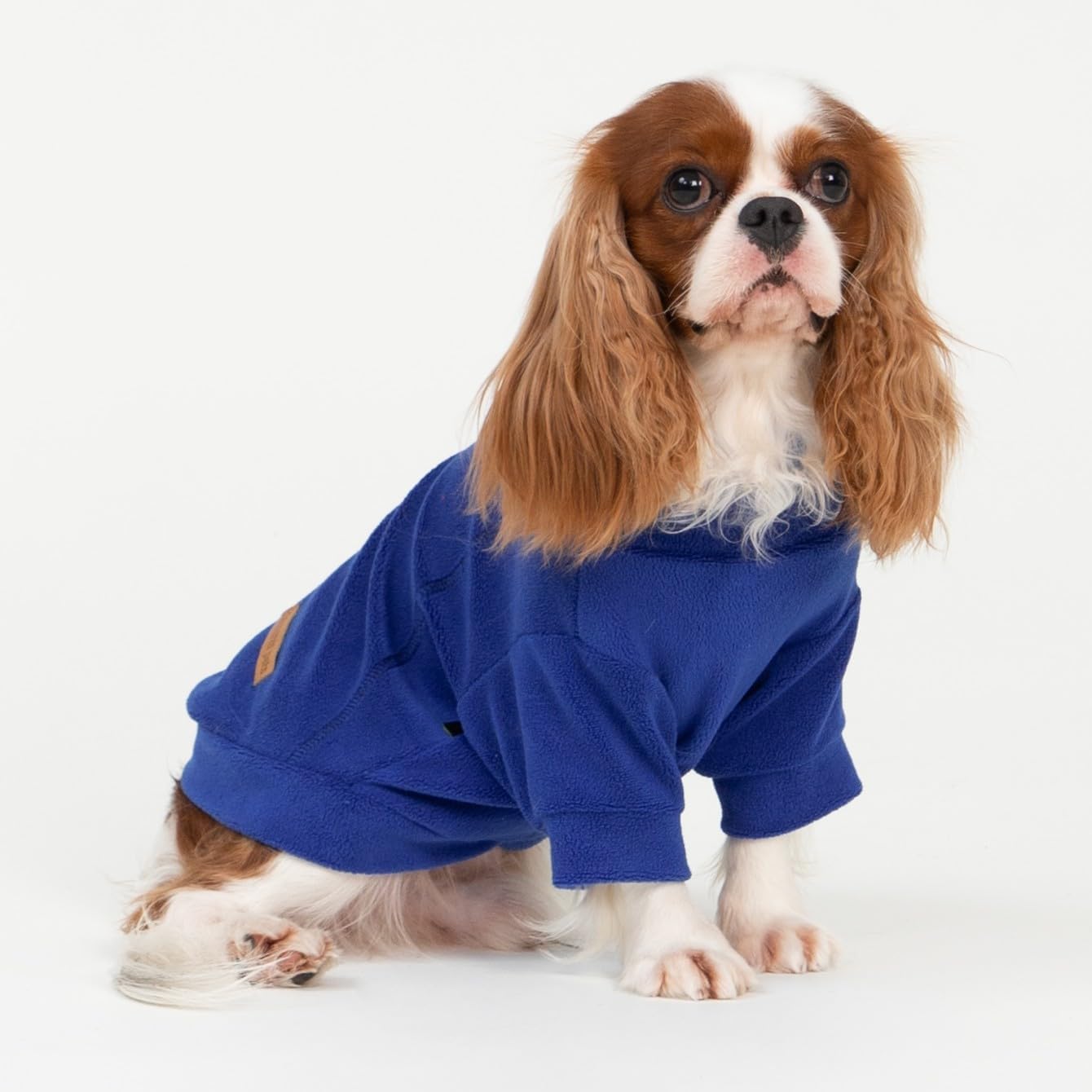 Fitwarm 3 Pack Classic Fleece Dog Sweater, Winter Clothes for Small Dogs Boy Girl, Turtleneck Dog Sweatshirt, Pet Apparel, Orange Red, Royal Blue, Neon Yellow, XXL