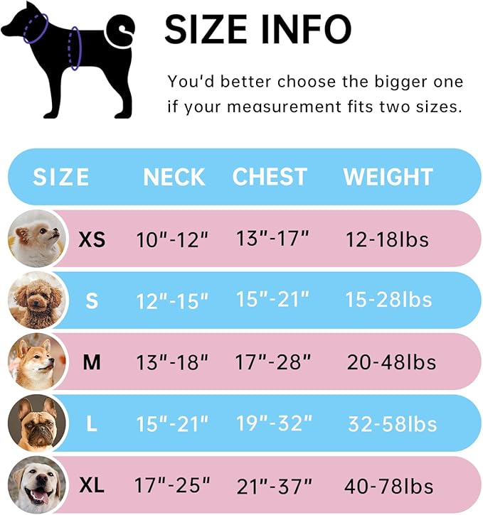 IVY&LANE No Pull Dog Harness for Large Dogs, Dog Vest Harness with Leash, Safety Belt and Storage Strap, Fully Adjustable Harness, 360° Reflective Strip, Soft Handle (Blue, L)