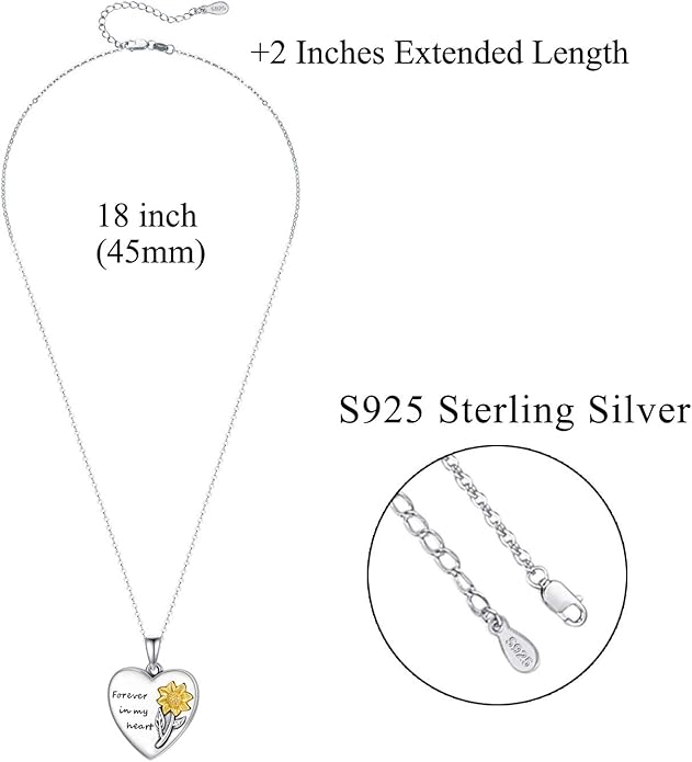 MEDWISE Wing/Wolf/Compass Urn Necklace for Ashes 925 Sterling Silver Necklace Guardian Angel Ashes Keepsake Memorial Urn Pendant Pet Cremation Jewelry for Ashes Memorial Jewelry for Dog Cat Pet Men