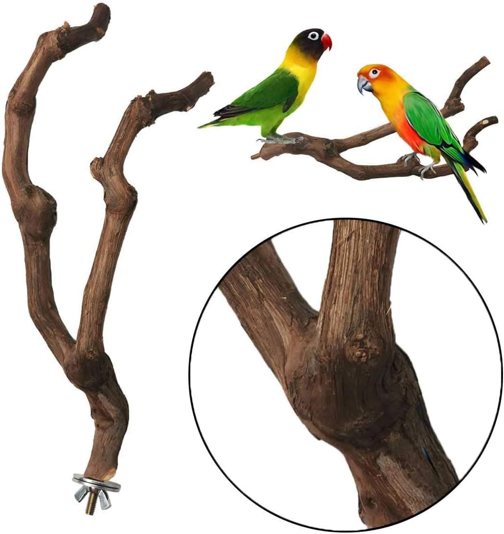 kathson Natural Parrot Perch Bird Stand Pole Wild Grape Stick Paw Grinding Fork Parakeet Climbing Standing Branches Toy Chewable Cage Accessories for Small Budgies Cockatiels Lovebirds