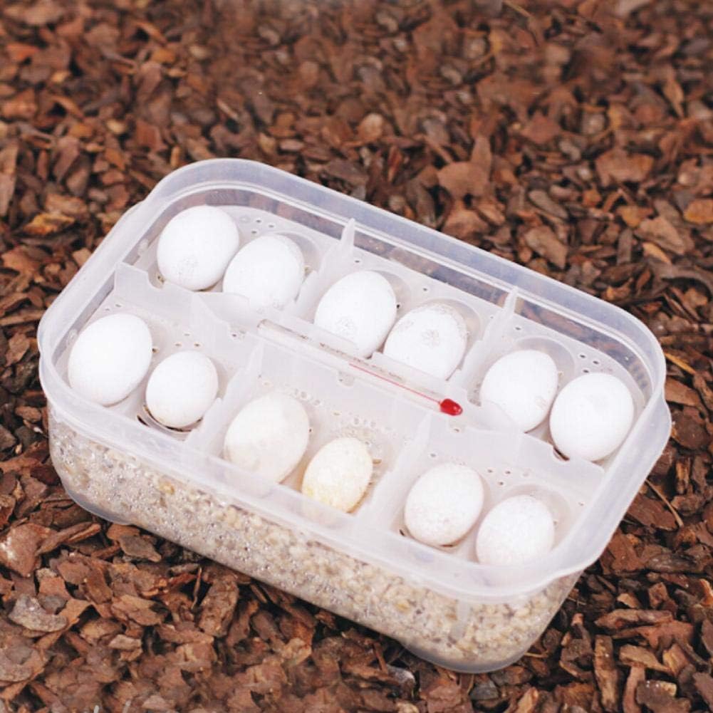 Zerodis Reptile Breeding Box, Plastic Incubator with Transparent Lid for Hatching Gecko, Lizards, Lions Mane, Reptiles