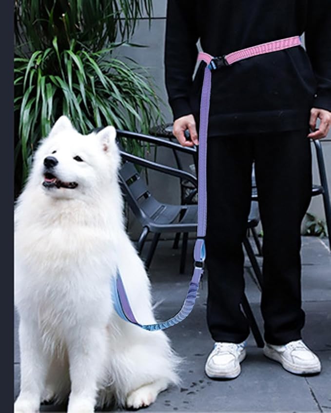 Hands Free Dog Leash for Large Medium Dogs Heavy Duty Bungee Reflective Adjustable Waist Leashes for Walking Running with Car Buckle 4-6FT (Purple)