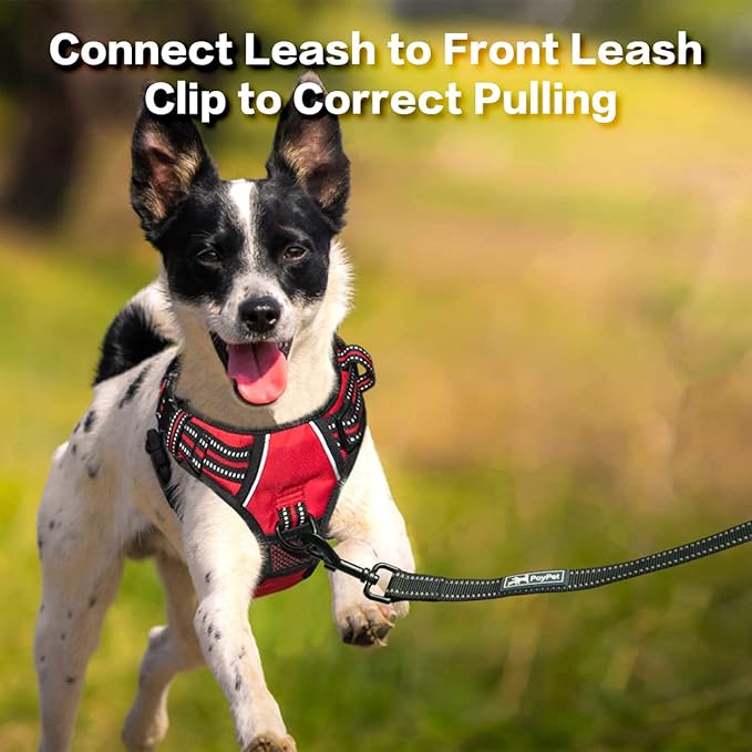 PoyPet No Pull Dog Harness, No Choke Front Clip Reflective Dog Vest with Soft Padded Vertical Handle, 3 Leash Attachments for Small Medium Large Dogs (Red,XL)