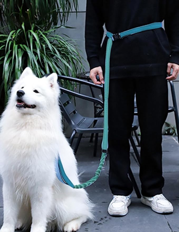 Hands Free Dog Leash for Large Medium Dogs Heavy Duty Bungee Reflective Adjustable Waist Leashes for Walking Running with Car Buckle 4-6FT (Green)