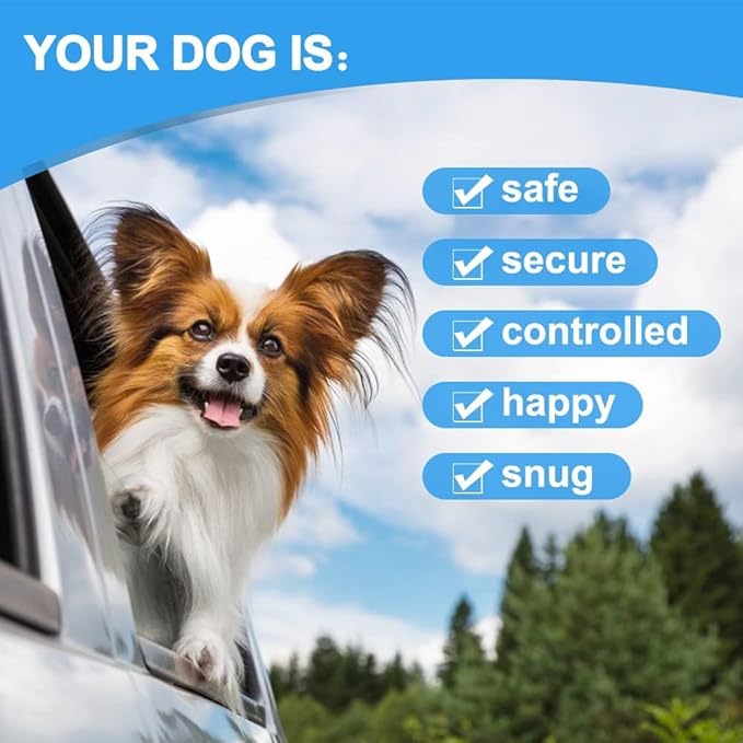 Dog Seat Belt Harness for Car,Dog Seatbelt of Coated Wire Leash Safety Restraint,No Chew Tether Cable Vehicle Dogs Accessories,Double Clips & Latch (Orange, 16 inch/40 CM)