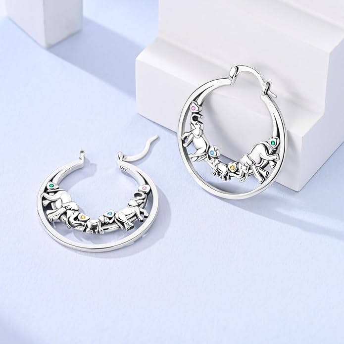 NARMO 925 Sterling Silver Hoop Earrings for Women Hypoallergenic Lightweight Simple Huggie Hoop Earrings Twisted Hoop Earrings Colorful Cubic Zirconia Hoop Earrings Rainbow Hoop Earrings