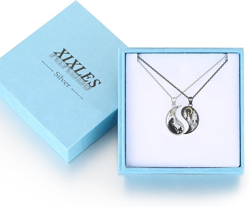 Yin Yang Matching Jewelry Set 925 Sterling Silver Yin Yang Friendship Couples BFF Pendant Necklace Jewelry for Her Him Women Men