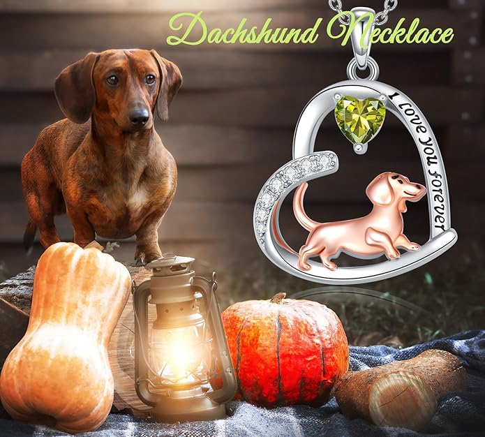 Dachshund Necklace 925 Sterling Silver Dachshund Birthstone Pendant Cute Animal Puppy Dog Dachshund Jewelry Gifts for Women Dachshund Lover