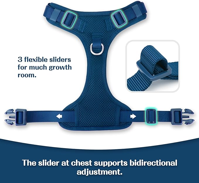 No Pull Dog Harness for Small Medium Large Dogs - Adjustable Two-Layer Mesh Dog Vest with Dual Clip, Escape Proof, Quick Release, Lightweight Breathable Mesh for Walking Hiking (Prussian Blue,S)