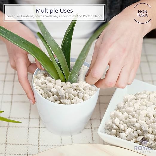 Royal Imports 5LBS River Pebbles Decorative Ornamental Rocks, Garden Landscaping Stones, Gravel Filler for Plants, Vases, Succulents, Home Decor, Aquariums, Crafting, Animal Habitat - Mini White