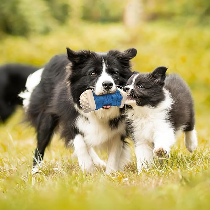 PCEoTllar Indestructible Dog Chew Toys, Aggressive Chewer Safe Rubber Puzzle Toys with Beef Flavor - Blue, Medium to Large Dogs