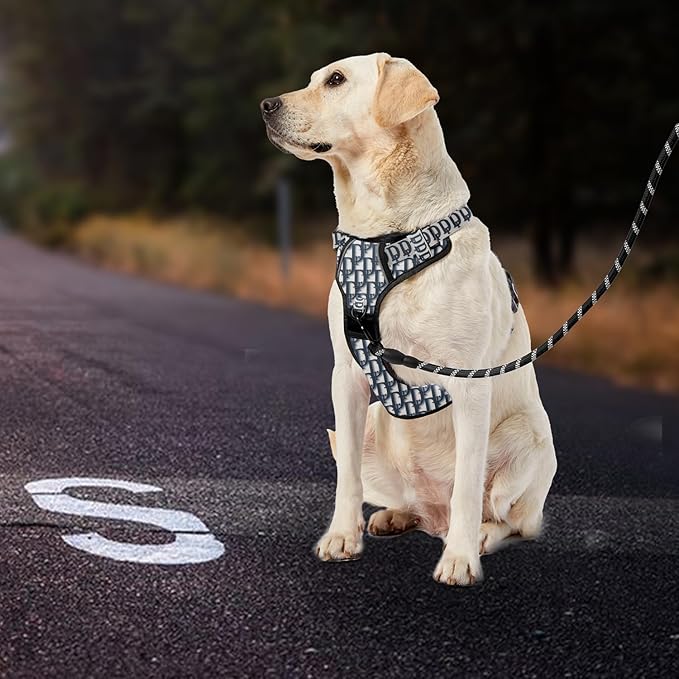 IVY&LANE No Pull Dog Harness with Leash Set, Reflective No Choke Pet Vest,Adjustable Oxford Dog Vest Harness with Easy Control Handle for Large Dogs (Vintage Blue,XL)