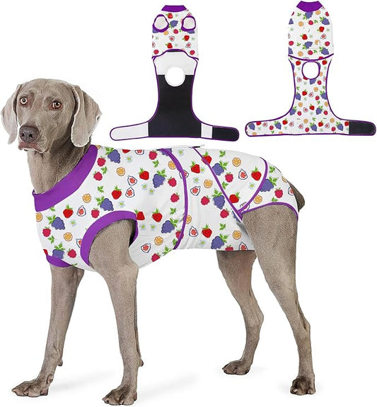 Recovery Suit for Dogs After Surgery, Professional Dog Surgical Suit for Female Spay, Male Neuter, E-Collar & Cone Alternative Dog Onesie for Abdominal Wounds Skin Disease, Purple, XL