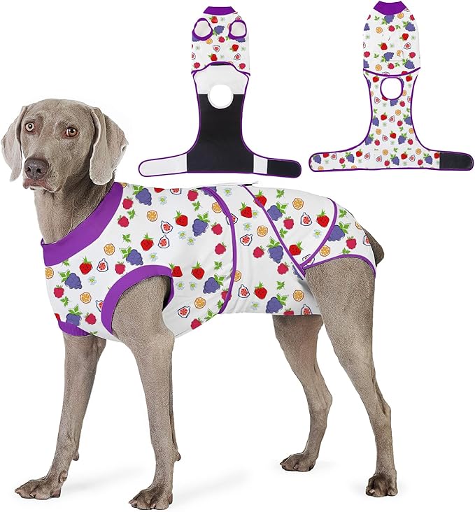 Recovery Suit for Dogs After Surgery, Professional Dog Surgical Suit for Female Spay, Male Neuter, E-Collar & Cone Alternative Dog Onesie for Abdominal Wounds Skin Disease, Purple, XXL