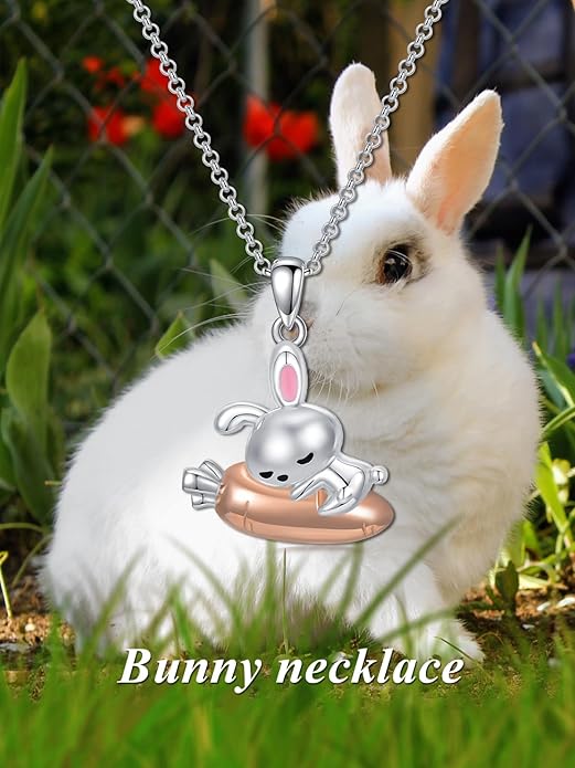 Dorunmo Animal Necklace 925 Sterling Silver Owl/Sloth/Axolotl/Dolphin Necklace Celtic Knot Pendant Birthday Anniversary Animal Jewelry for Women Friends Animals Lover