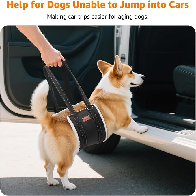 LOOBANI Portable Dog Sling for Back Legs, Hip Support Harness to Help Lift Dogs Rear for Canine Aid and Old K9 Cruciate Ligament Rehabilitation