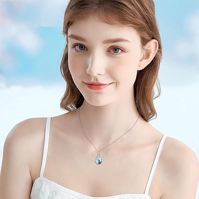 JUSTKIDSTOY Dog/Cat/Hummingbird Urn Necklace for Ashes S925 Sterling Silver Heart Cremation Jewelry Keepsake Memorial for Women