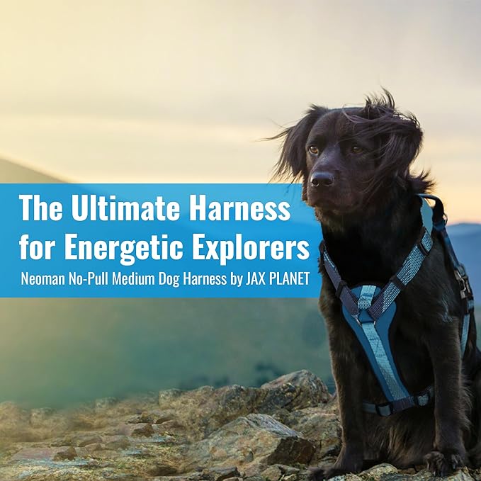 No-Pull Dog Harness with Handle - Escape Proof, Anti-Pulling, Grip Control, Multi-Angle Reflective for Safe Walks & Training, Easy On & Off, Metal Buckle–Pet Harness, Medium/Large Dogs- N H4- Blue