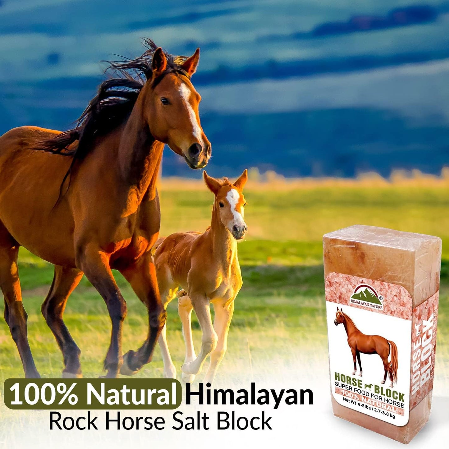Licking Salt for Horse, 100% Pure Himalayan Pink Salt Chunks, 6 LBS, Animal Feed Salt Chunks, Horse Salt Licks, Natural Mineral Salt - Pack of 2