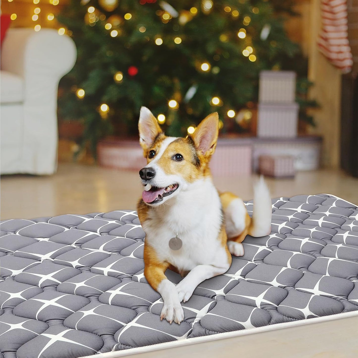 Bubble bear Dog Crate Mat - Ultra Soft, Washable & Anti-Slip Kennel Pad for Small/Medium/Large Dogs, Dark-Hued to Hide Stains (30"x19")