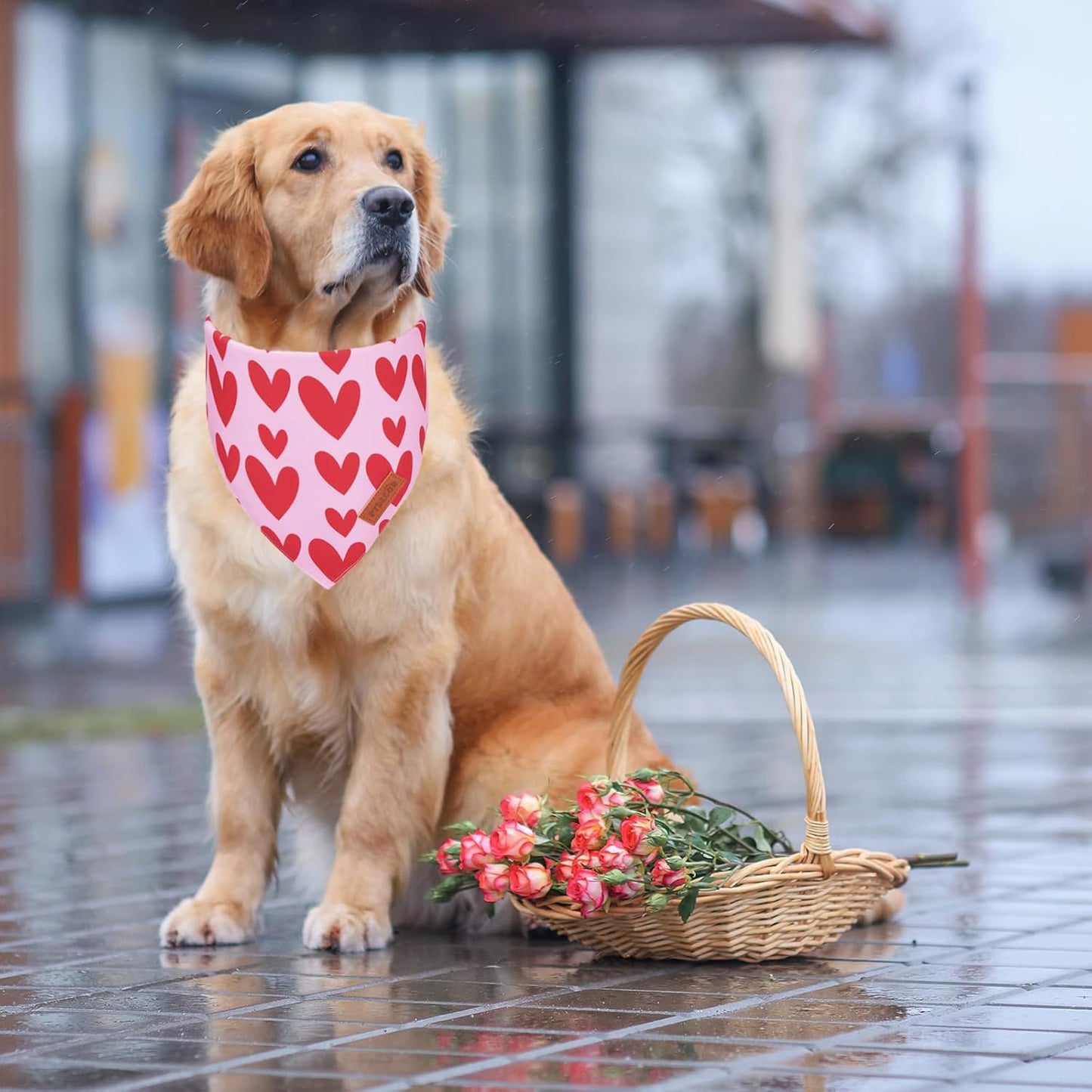 PTDECOR Valentine Dog Bandana, Reversible Valentine Pet Scarf, Multi Size, Red Heart Bandanas for Large X-Large Dogs (X-Large)
