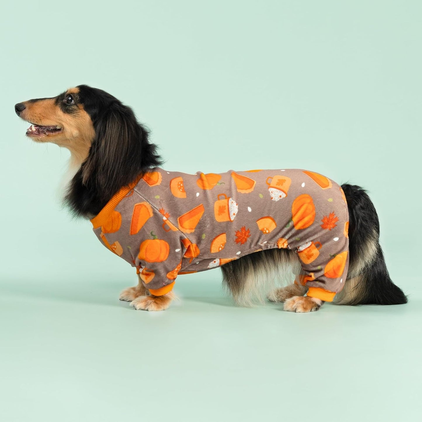 Fitwarm Pumpkin Dog Pajamas, Thanksgiving Outfit for Small Dogs Boy Girl, Pet Onesie, Brown, Orange, XXL