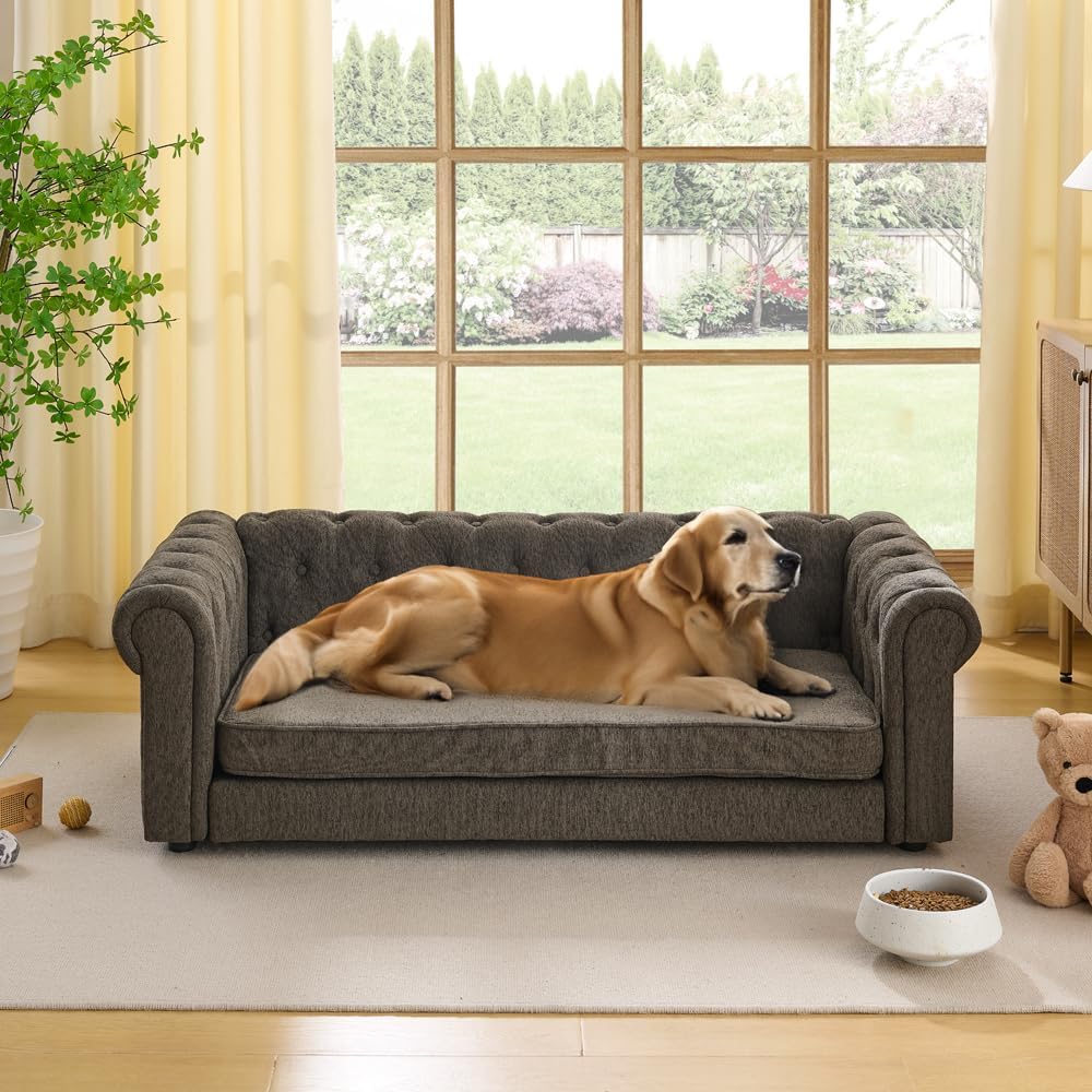 Dog Sofa Couch for Medium to Large Dogs, 55" Memory Foam Pet Sofa Couch with Washable Fabric, Durable Elevated Dog Bed with Legs, Removable Cushion for Medium and Large Dogs, Dark Grey