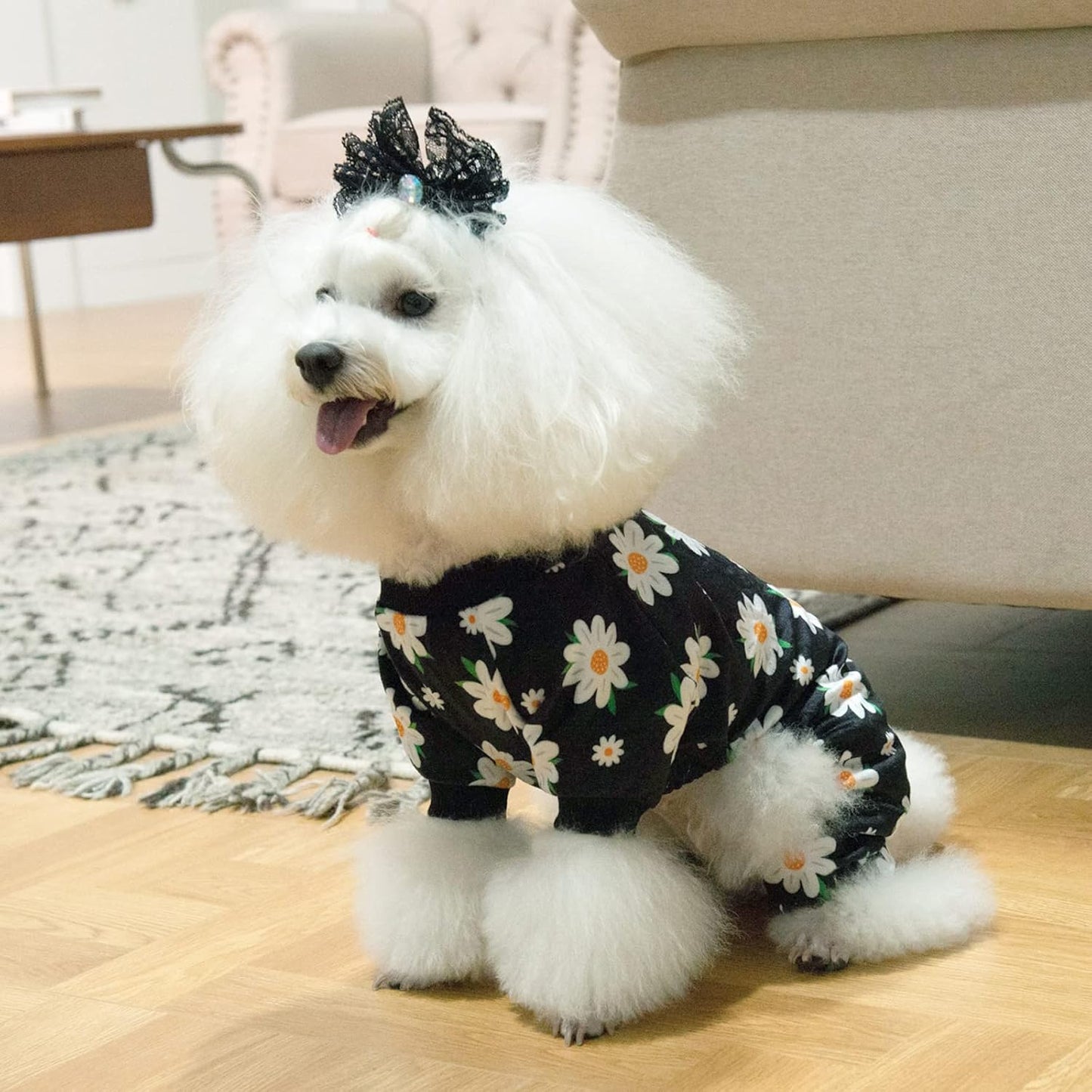 CuteBone Small Dogs Outfit Soft Puppy Onesies Pjs Dog Pajamas Pet Coat Cat Apparel Comfy Doggie Jumpsuit Bodysuit for All Seasons P221XL