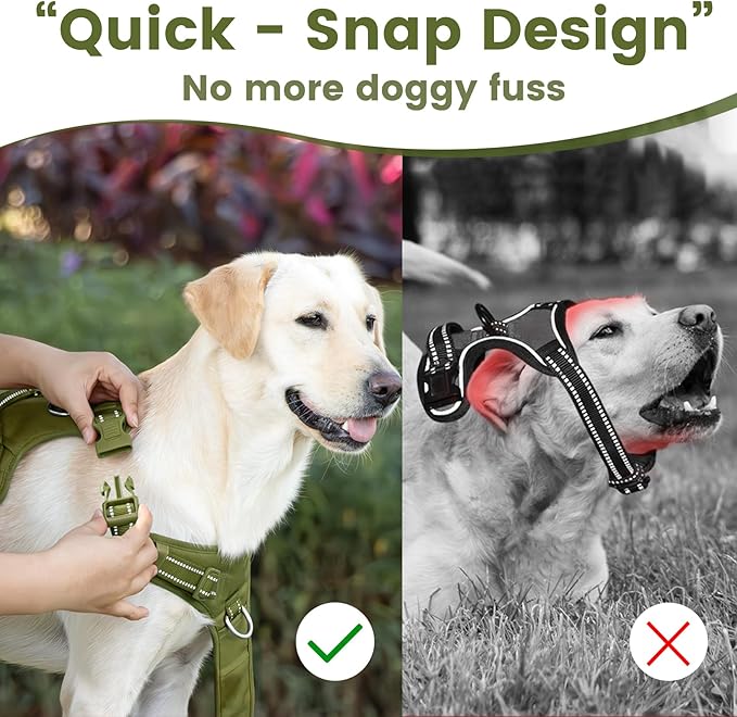 No Pull Dog Harness, Reflective Puppy Vest for Small Medium Large Sized Dog (Misty Green,M)