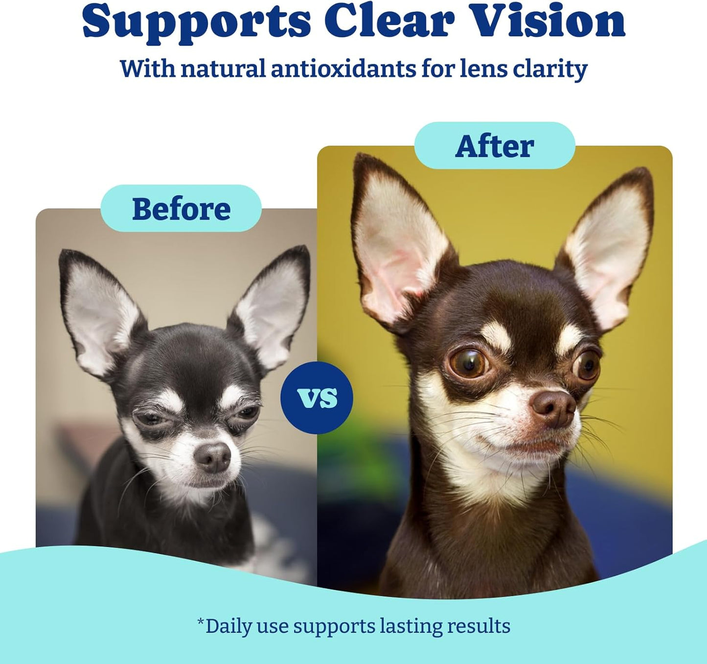 Eye Supplement for Dogs - 120 Soft Chews Dog Vision Supplement with Cod Liver Oil, Antioxidants & Omega 3 Fatty Acids - Eye Vitamins for Dogs - Duck & Pear Flavor