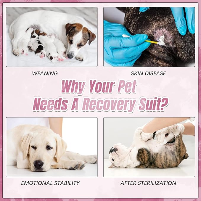 Kuoser Dog Surgery Recovery Suit, Anti Licking Pet Surgical Suit for Dogs Male Neuter, Female Dog Surgery Suit for Spay Subsititute E-Collar Cone, Dogs Body Suits After Surgery Pink Tie Dye M