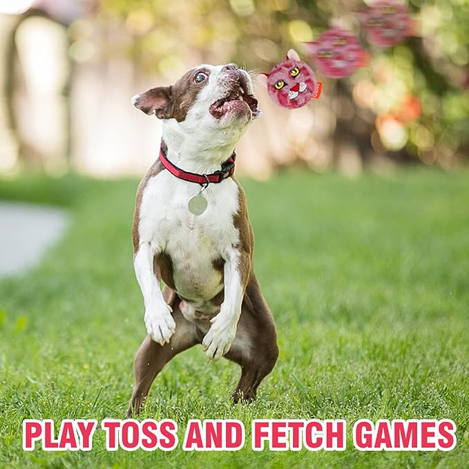 DKING 3Pack Squeaky Dog Balls,2 in1 Funny Puppy Ball Toys,Birthday Dog Toy for Small Medium Dogs (Animal Ball)