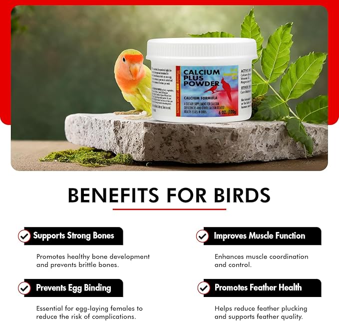 Morning Bird Calcium Plus Powder for Birds 6 oz – Calcium Carbonate Powder with Magnesium Glycinate & Vitamin D – Bone Strength & Immune Support Supplement – Calcium Formula for All Bird Sizes