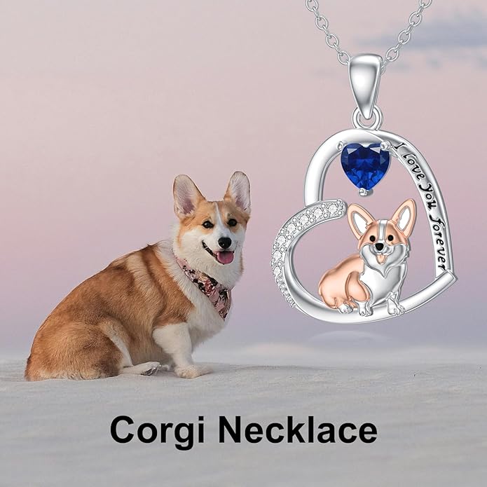 Dachshund Necklace 925 Sterling Silver Dachshund Birthstone Pendant Cute Animal Puppy Dog Dachshund Jewelry Gifts for Women Dachshund Lover