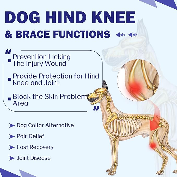 ROZKITCH Dog Surgery Leg Sleeve Rear Legs, Male Female Pet Prevent Licking Wound Elbow Knee Protector, Dog Recovery Suit Cone Collar Alternative Pants Shirt for Wound Heal Wrap Pink 3XL