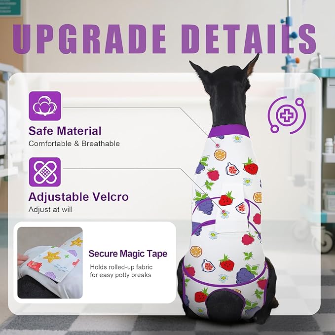 Recovery Suit for Dogs After Surgery, Professional Dog Surgical Suit for Female Spay, Male Neuter, E-Collar & Cone Alternative Dog Onesie for Abdominal Wounds Skin Disease, Purple, L