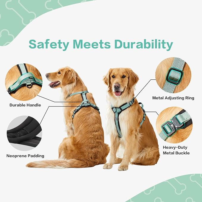 CLEPAWS Dog Harness for Small Dogs, No Pull Dog Harness Easy Walk with Metal Hardware, Ergonomic Y-Shaped Design, Soft Padding, Padded Handle, Durable High-Tensile Nylon (Seabreeze, S)