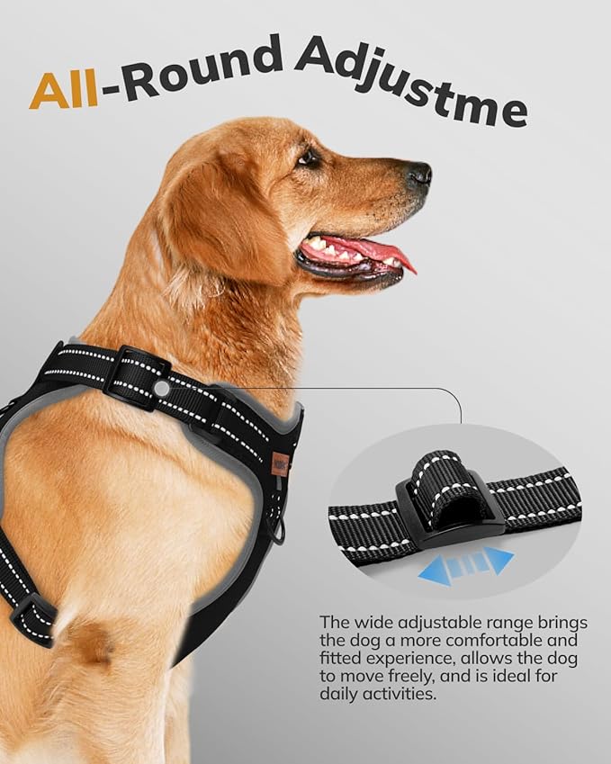 MIDOG No-Pull Dog Harness | Adjustable & Reflective Pet Harness Leash Set for Small Medium Large Dogs Walking, Training| No Choke, Front Clip, Soft Padded Vest with Easy Control Handle - Black, S