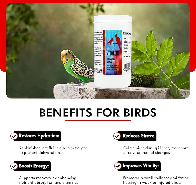 Morning Bird Vitalize, Supplement for Sick, Injured, or Stressed Caged Birds; Dehydration and Exhaustion Treatment for Parakeets, Cockatiels, Budgies, Finches, Canaries, and Parrots, 16 oz