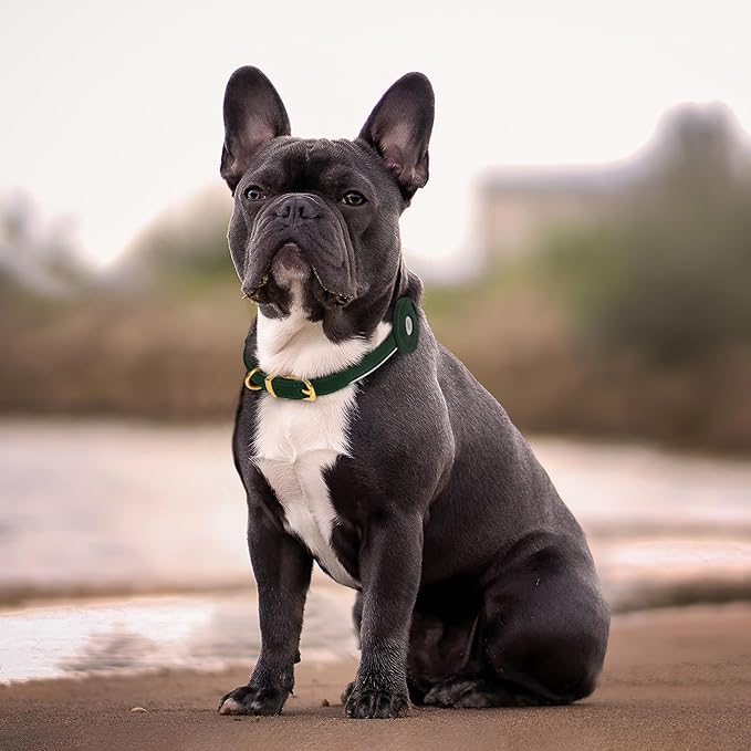 OOPSDOGGY Rolled Leather Dog Collar with Airtag Holder (Black, XS, 8"-11")