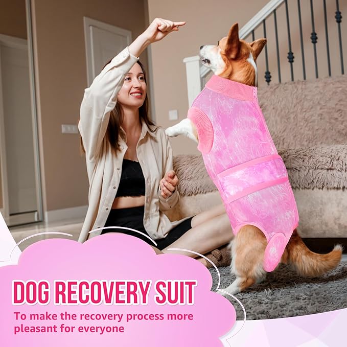 Lukovee Recovery Suit for Dogs, Zipper On Recovery Suit for Female Male Dog, Onesie Abdominal Wounds Cone E-Collar Alternative Prevent Licking Spay Recovery Suit (Small, Pink Tie-dye)