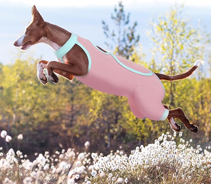 ROZKITCH Dog Surgery Leg Sleeve Rear Legs, Male Female Pet Prevent Licking Wound Elbow Knee Protector, Dog Recovery Suit Cone Collar Alternative Pants Shirt for Wound Heal Wrap Pink 3XL