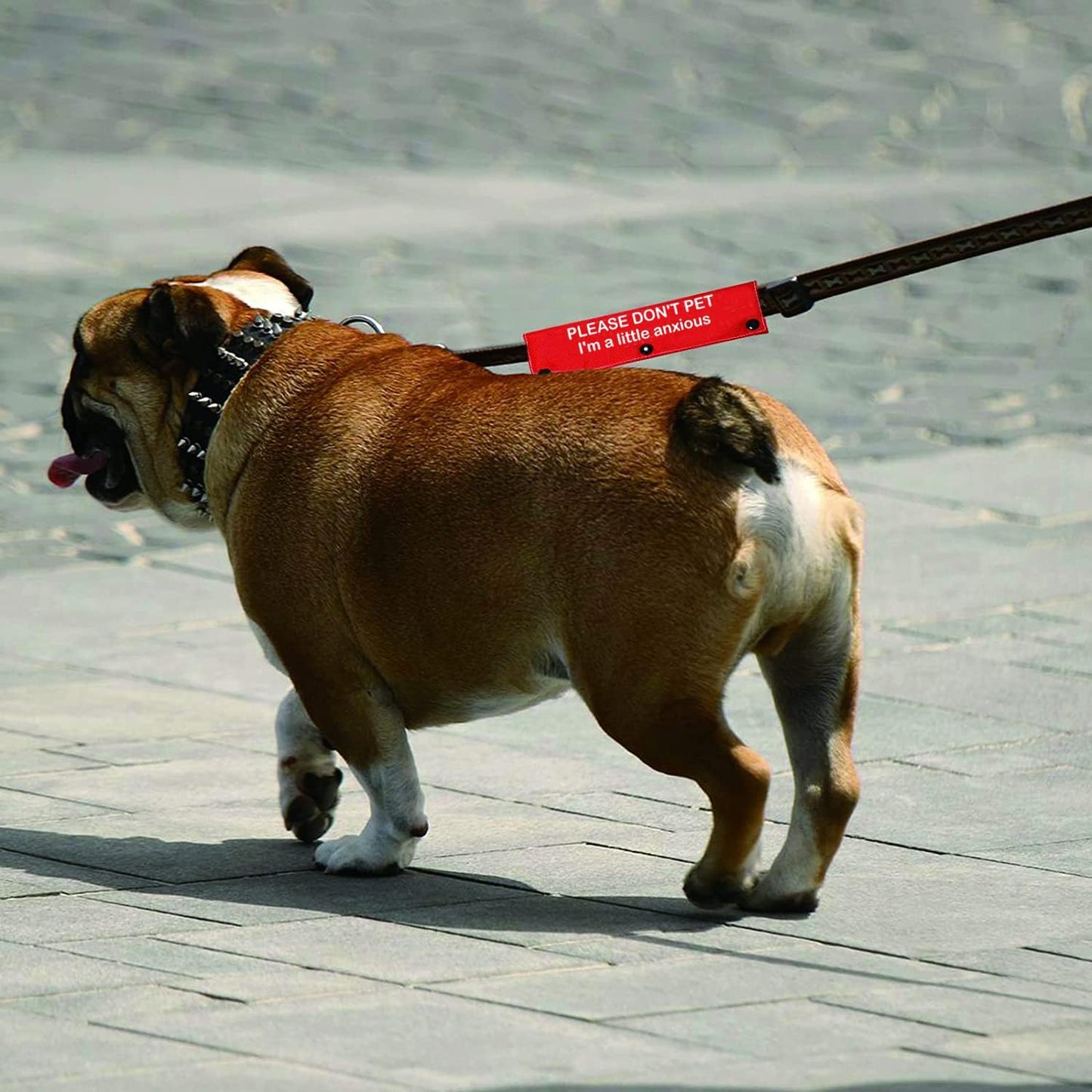 Funny Dog Leash Sleeve Please Don't Pet I'm a Little Anxious Pet Leash Wrap Wrap Alert Hanging ID Patch Tag(Little Anxious-Sleeve)