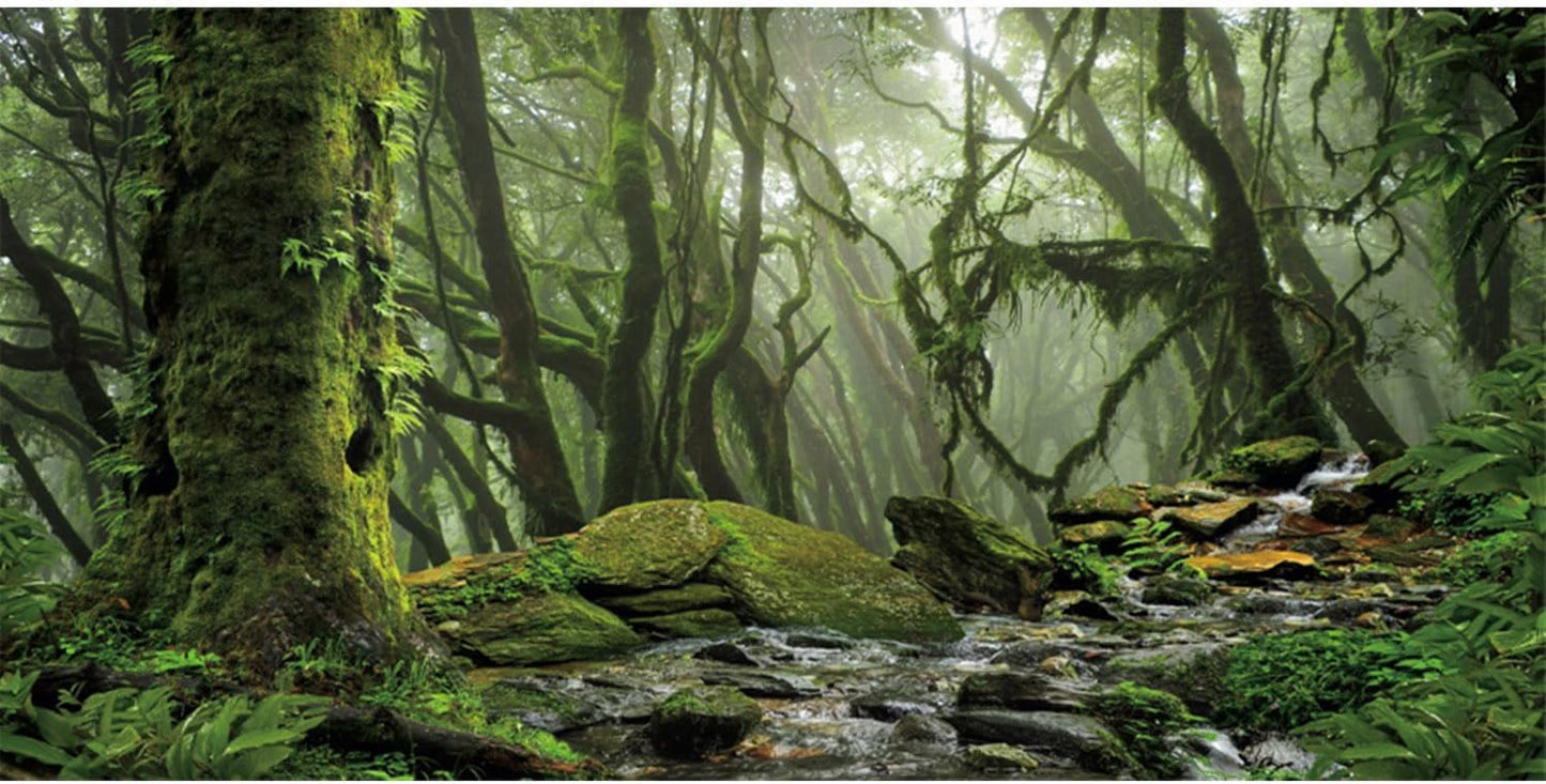 AWERT Foggy Forest Terrarium Background Stream Green Huge Tree Reptile Habitat Background Tropical Rainforest Aquarium Background 48x24 inches Durable Polyester Background