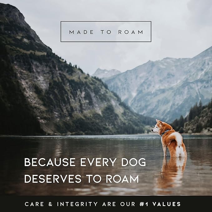 MADE TO ROAM Premium Explorer Harness - Y-Shaped Dog Harness with Adjustable Durable Nylon, Soft Padding, Metal Buckles and Leather Handle for Small, Medium, Large Dogs (Vermont Weekends, Size 7)