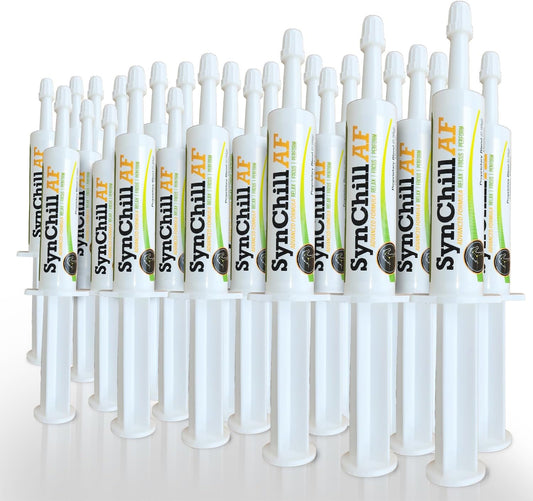 SynChill AF Calming Gel for Nervous Horses - Single Serving - Advanced Formula with L-Theanine, Increased Potency, 100% Natural Supplement, Disposition & Confidence Support for Horses - 25 Pack