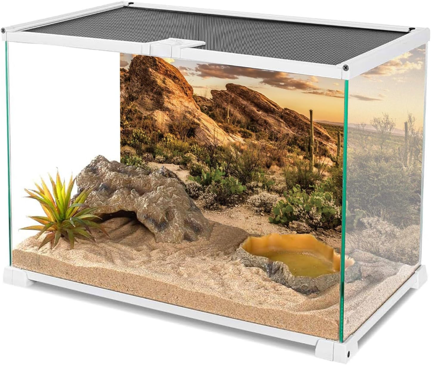 AWERT Reptile Habitat Background Blue Sky Oasis Cactus Sun and Desert Terrarium Background 30x18 inches Durable Polyester Background